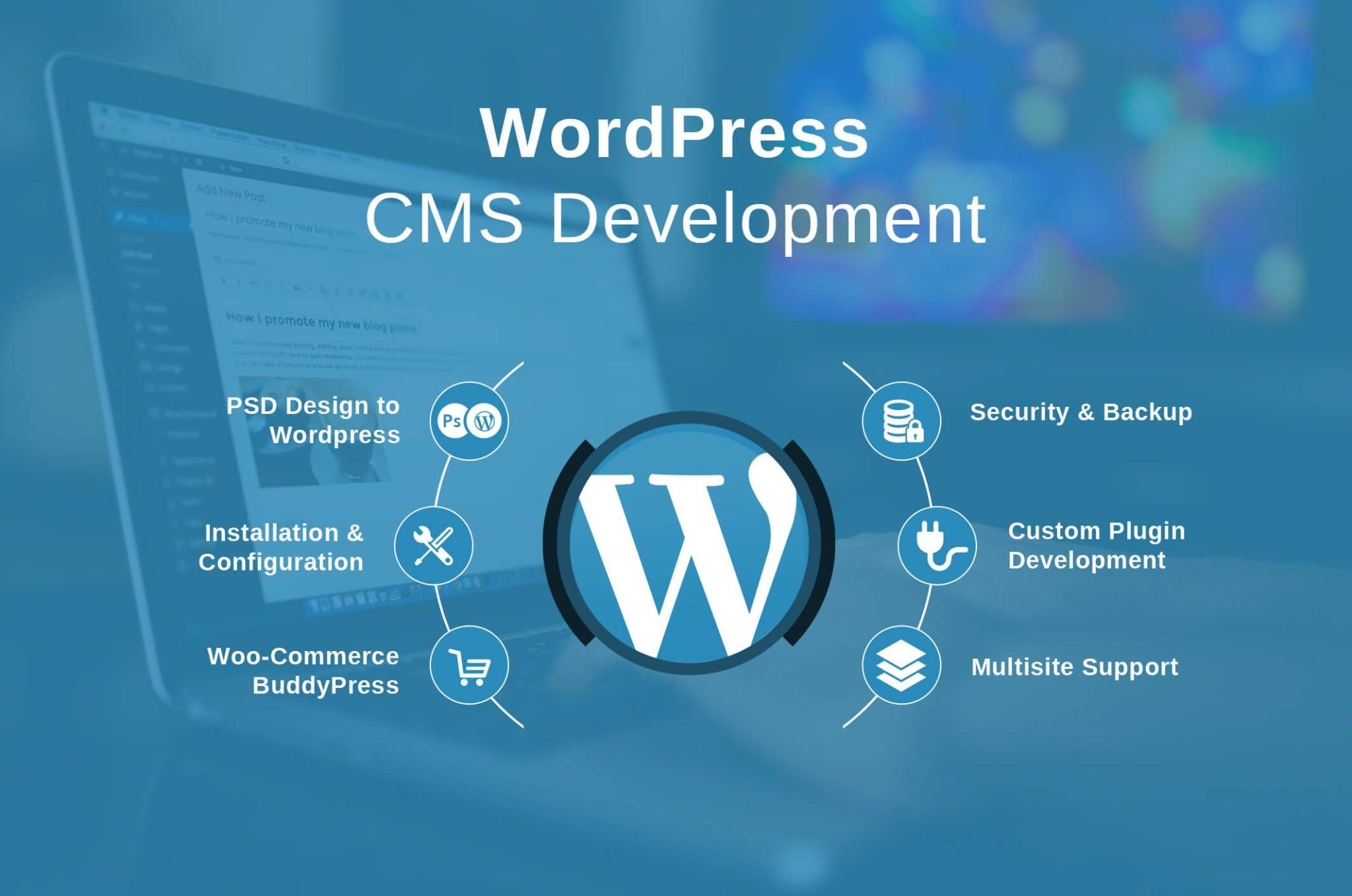 WordPress Developer Near Me